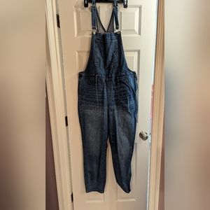 Madewell 2x slim leg denim bib overalls